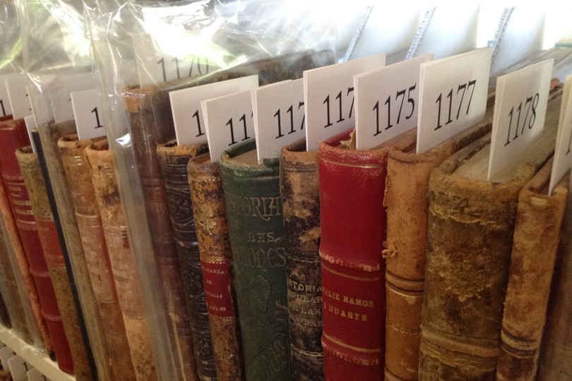 Colección Primitivo Moralest